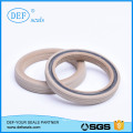 Spring Energized Seals for Cylinder China Manufacture